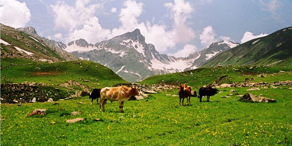 kashmir tourism department